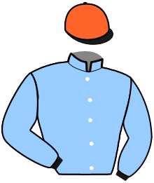 Twiska Pronostic gratuit du PRIX MICHEL D'ORNANO - 24 juill. 2026 par Canalturf