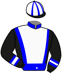 Pronostic gratuit du RS MUSTANG - SVENSKT TRAV-OAKS - 10 oct. 2026 par ...