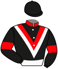 Pronostic gratuit du RS MUSTANG - SVENSKT TRAV-OAKS - 10 oct. 2026 par ...