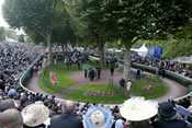 Longchamp Rond de Presentation