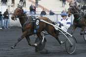 REVE D'HAUFOR