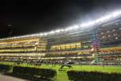 hippodrome happy valley happy valley hong kong