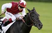 Cavalryman