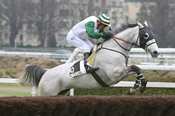 QUOLIBET