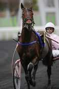 Oyonnax