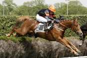 Pibrac Hippodrome d'auteuil, quinté+, quinté plus, pronostic pmu gratuit, résultats pmu, rapports pmu, turf
