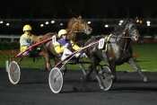 sir de malberaux hippodrome de vincennes, quinté plus nocturne, quinté+, quinté plus, pronostic pmu gratuit, résultats pmu, rapports pmu, turf