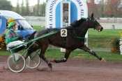 PARLER D'OR