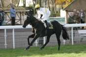 Year Of The Cat Hippodrome de compiègne , quinté + prix marc antony , quinté nocturne, quinté prix cacao, quinté plus , rapport pmu, pmu, pmu pronostics, pronostic