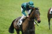 Coralhasi Hippodrome d'auteuil, quinté + prix françois de ganay , quinté nocturne, quinté prix cacao, quinté plus , rapport pmu, pmu, pmu pronostic