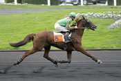 SAPHIR CASTELETS