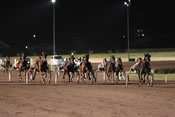 Enghien Nocturne Attelé trot attelé hippodrome d'enghien pmu quinté pronostic
