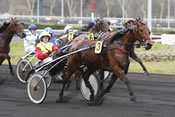 Private Love prix de paris quinté pmu