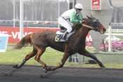 QUATIE DE GUERON