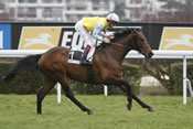 Chinchon pronostic quinté pmu hippodrome de longchamp