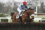 Salder Roque pronostics quinté pmu hippodrome d'auteuil