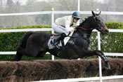 Esplendido hippodrome d'auteuil pronostic grand steeple-chase de paris pmu