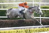 SIRE COLLONGES