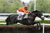 OBJECTIF SPECIAL