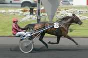 Quasar Joli pronostic quinté, criterium des 4 ans, pmu, hippodrome de vincennes