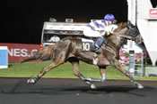 SIRE GEDE