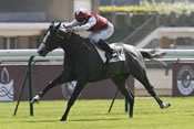 Royal Revival pronostic quinté, résultats pmu, hippodrome de chantilly, prix du jockey club