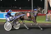 Petite Cherie quinté, pronostic, pmu, hippodrome de vincennes