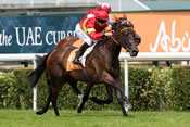 Never Forget Saint-cloud ABU DHABI PRIX DE MALLERET Crastus Anthony, hippodrome de saint-cloud, pronostics quinté, rapports pmu, courses hippiques,