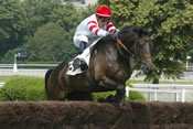 Kap Dream grand steeple chase de paris, hippodrome d'auteuil, pronostics quinté, rapports pmu, turf