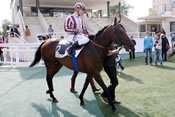 MESNIL DES AIGLES