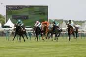 Sarafina hippodrome chantilly Prix De Diane 2010 Christophe Lemaire, pronostic quinté, courses hippiques, rapport pmu