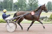 Premiere Steed hippodrome d'engein, courses hippiques, pronostics pmu, rapport pmu, quinté