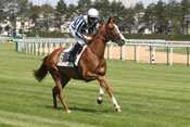 ARES FLIGHT