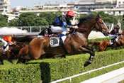 LE DUC D'ANZY