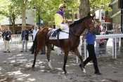 DANEHILL'S PEARL