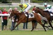Wolverine quinté prix fete nationale, hippodrome de longchamp, resultats courses hippiques , pronostics pmu