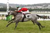 Le Larron rapports courses pmu, pronostic gratuit, quinté plus, hippodrome