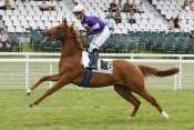 MISTER BEAUVALLON