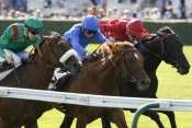 Fuisse Prix Du Moulin De Longchamp fuissé, prix du moulin de longchamp 2010, hippodrome de longchamp, résultat pmu,
