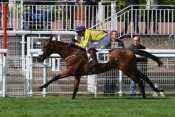 perly De Clermont hippodrome de vincennes, prix alain et gilles goulaine, quinté plus, pronostic pmu gratuit, résultats pmu, rapports pmu, turf