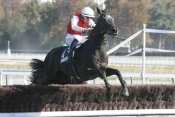 TALENT D'ESTRUVAL