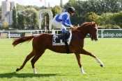 RAFFELS CENTENAIRE