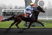 SAPHIR DE ROCHA