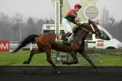 Negotians D'Ortige hippodrome de vincennes, quinté+ prix du bourbonnais, quinté plus nocturne, quinté+, quinté plus, pronostic pmu, rapports pmu, pron