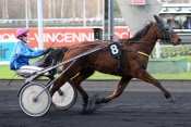 SULTAN DAUTMONIERE