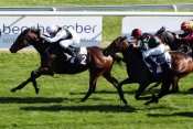 Quinte Grand Handicap De Brodeaux King Air pmu, courses hippiques, turf, pronostics pmu, résultats et rapports pmu, pronostics quinté gratuit, résultats et rapport quinté+, cotes pmu, pari pmu,