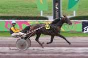 PLAY BOY DE RENIER