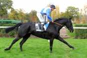 TROFEE DORE