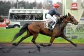 STONE D'HERIPRE