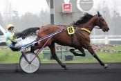 Tchao De Loiron hippodrome de Paris-Vincennes, Prix d'amérique 2011, quinté+ prix de Cornulier, ready cash, quinté plus nocturne, quinté+, quinté plus, pronostic p